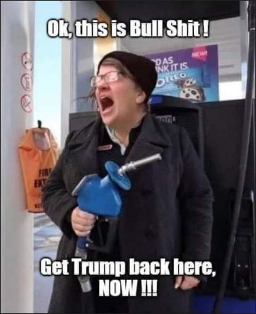 bullshit71
