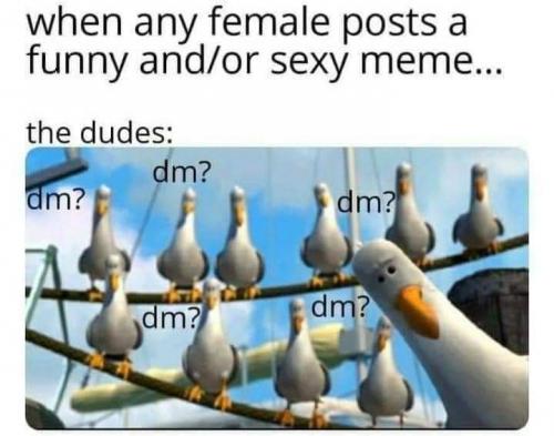 FB_IMG_1620266302726