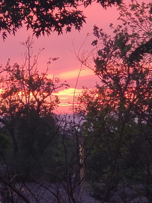 6BBF4784-6649-4C7F-BDB3-A1406818003C