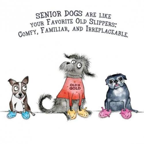 12:37:38 GMT-0500 (CDT)