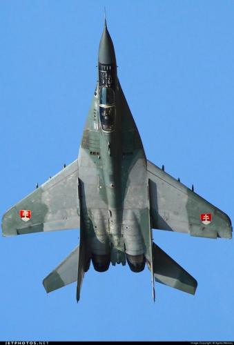 188685193_2970574569827882_8316848519735189269_n