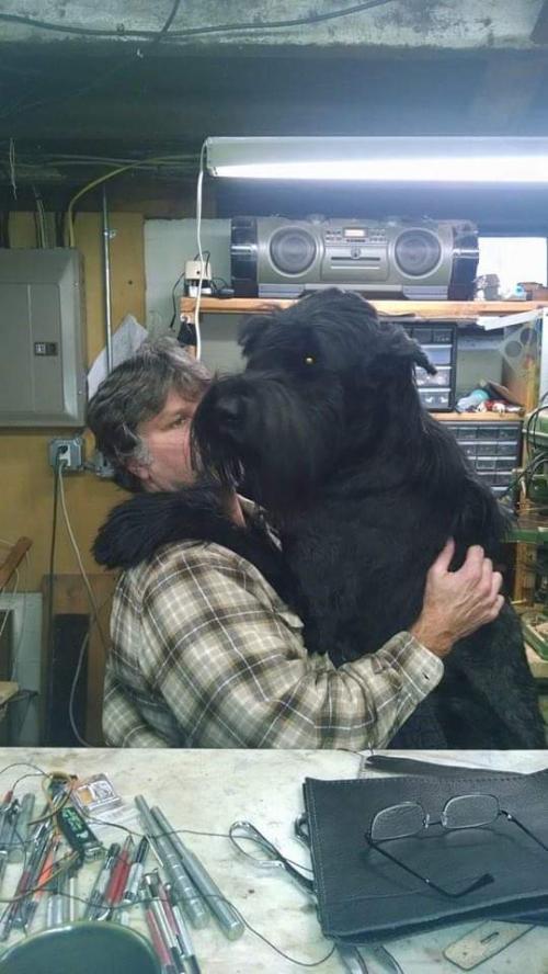 FB_IMG_1608529282816