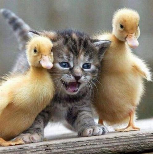 12:47:05 GMT-0500 (CDT)