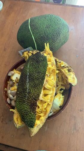 13:42:38 GMT-0500 (CDT).image