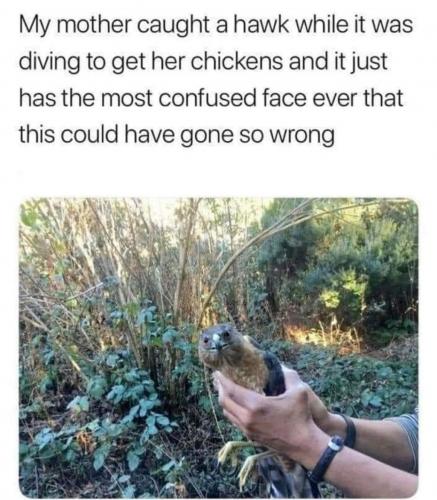 17:40:59 GMT-0700 (PDT)