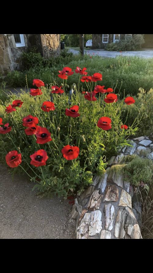 20:36:09 GMT-0500 (CDT).image