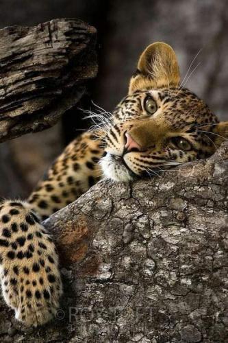 12:46:27 GMT-0500 (CDT)