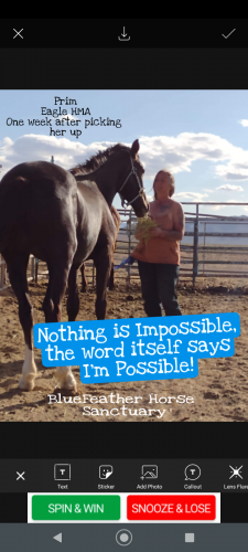 Screenshot_20210513-220923