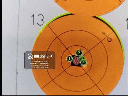 Ballistic-X-Export-Target 13