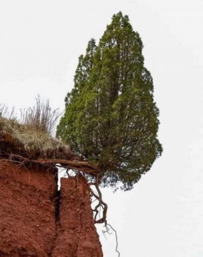 19:53:05 GMT-0500 (CDT)