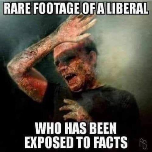 11:35:14 GMT-0500 (CDT)