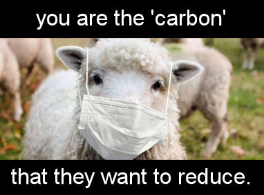 you are the carbon that they want to reduce