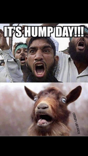 19:34:05 GMT-0500 (CDT).image