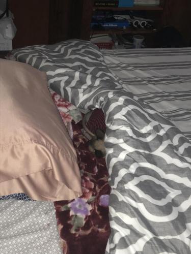 17:38:47 GMT-0400 (EDT).image