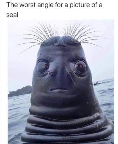 21:23:29 GMT-0500 (CDT)