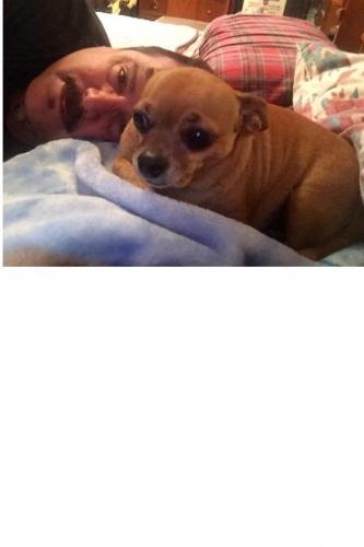 12:05:20 GMT-0700 (PDT).image