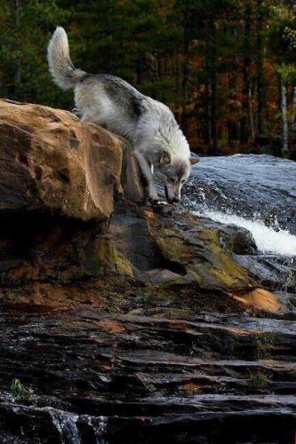 182201449_1567209170145094_3993565284538531802_n