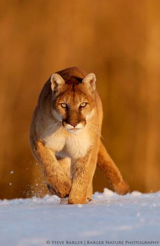 147901368_5000506533356758_7797193183413339246_n