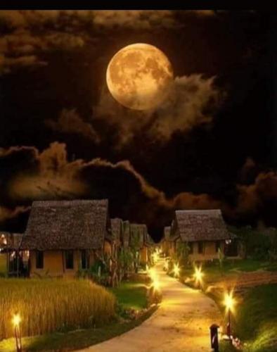 19:55:32 GMT-0500 (CDT)