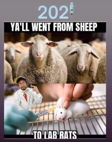 00:44:08 GMT-0700 (PDT).image