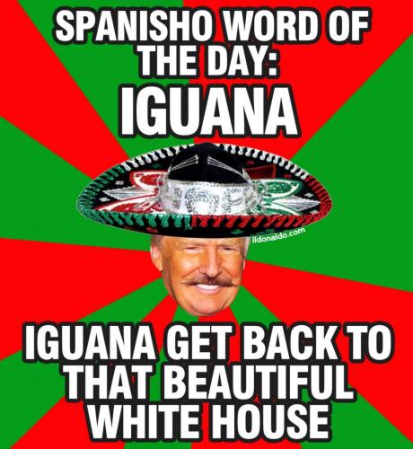 IMG_20210522_164616_464