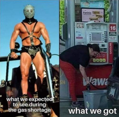 bullshit58