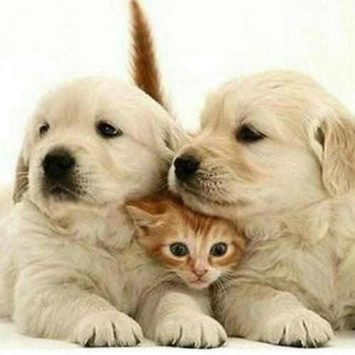 08:45:28 GMT-0500 (CDT)