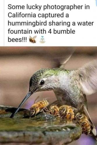 20:51:44 GMT-0700 (PDT)