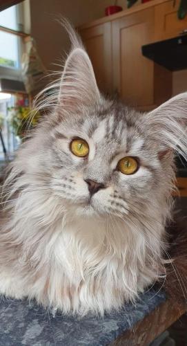 08:44:52 GMT-0500 (CDT)