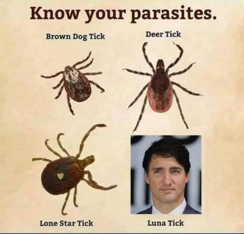 20:45:47 GMT-0700 (MST)