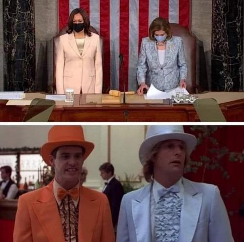 dumbanddumber