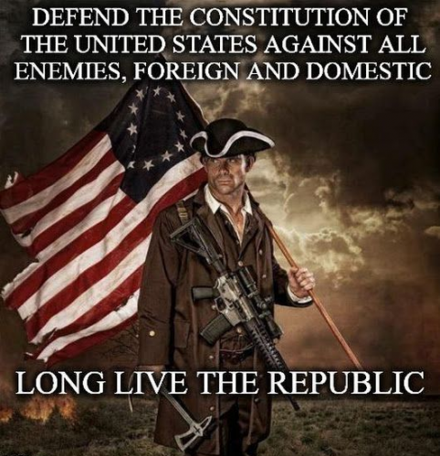 DefendConstitution_LongLiveTheRepublic