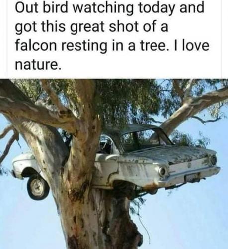 15:37:54 GMT-0400 (EDT)