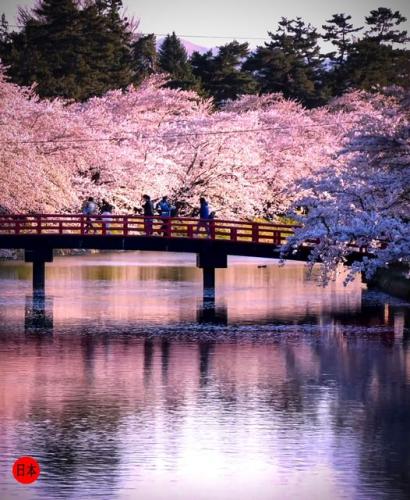 179483239_5379723958765946_9170618047478321327_n