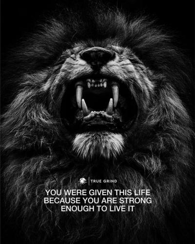 07:26:03 GMT-0500 (CDT).image