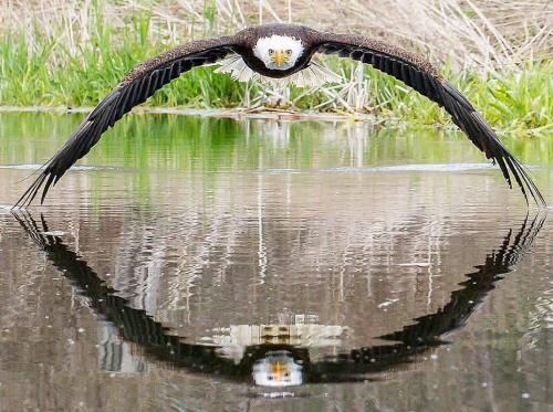 186530691_332216524948694_7102381694235866556_n