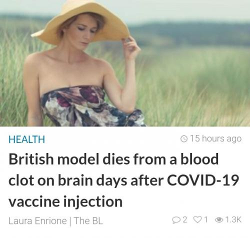 Screenshot_20210528-114516_The BL