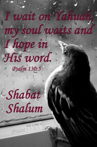 1e4c6617b1edb2fd98f9f6c9aaddc622d