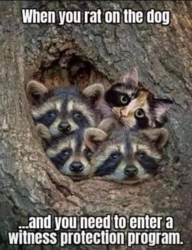 16:21:32 GMT-0400 (EDT)