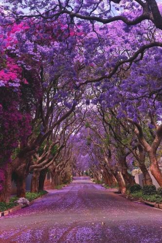 06:35:14 GMT-0500 (CDT)