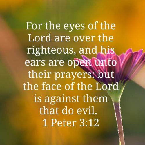 05:10:29 GMT-0400 (EDT)