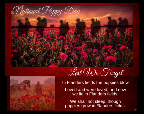 NationalPoppyDay