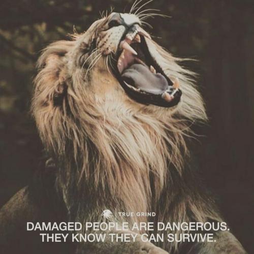 IMG_20210518_035756_520