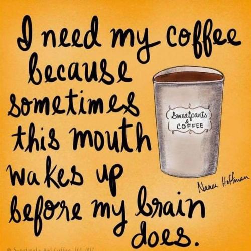 inbound8486309325220071578