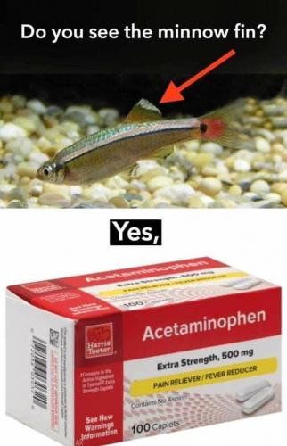 IMG_20210510_223313_413