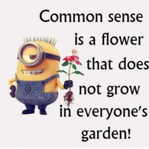 IMG_20210506_071817_866