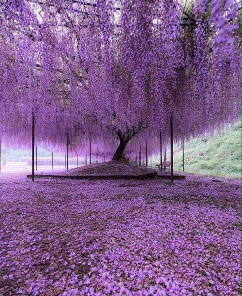 FB_IMG_1540702121090