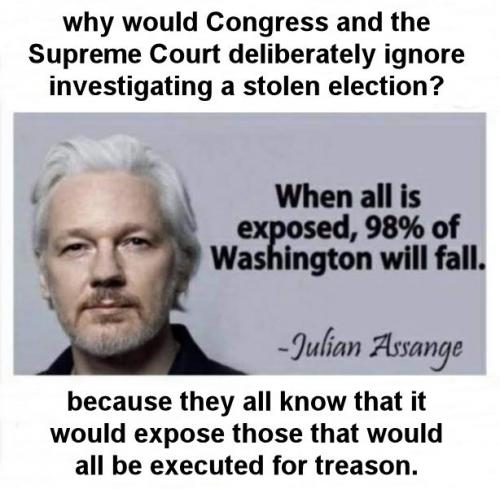 julian assange08