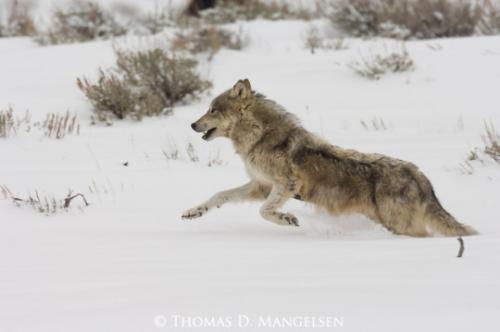 tumblr_63bd7c6a0f3bc781a22d602f9eebae11_1f679b3c_540