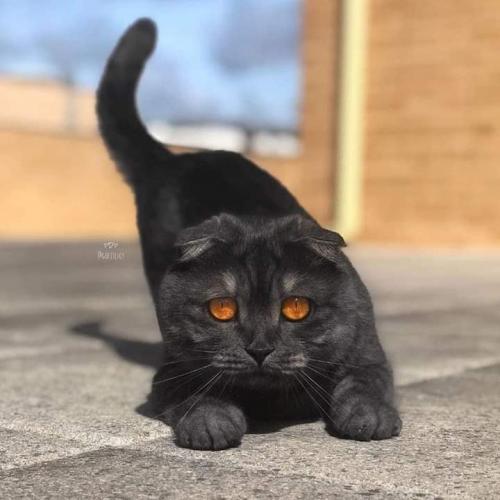 14:29:52 GMT-0500 (CDT)